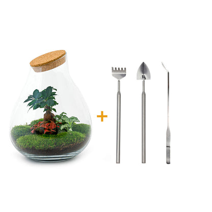 Terrarium-Bastelset – Drop XXL Bonsai – Flaschengarten – ↑ 43 cm