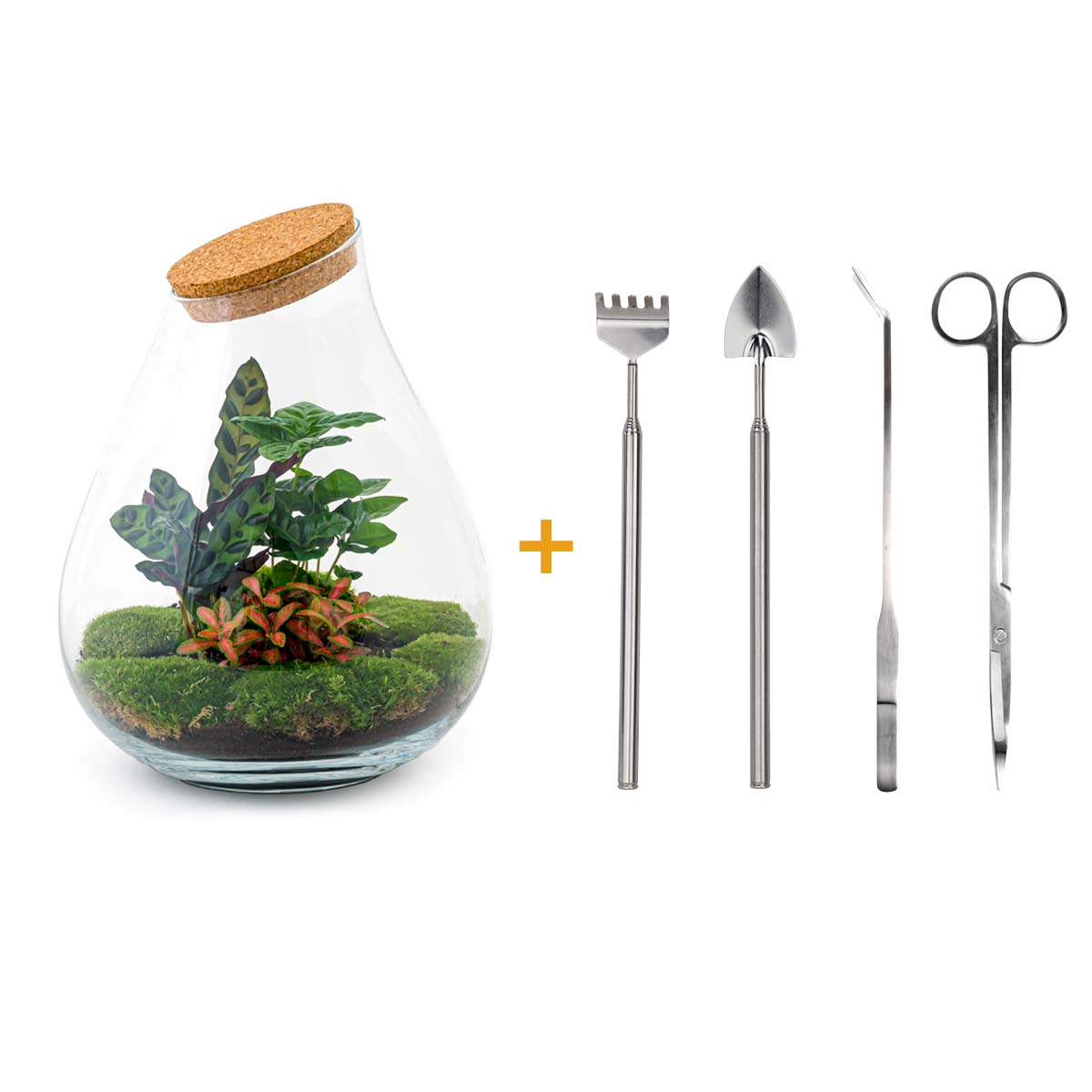 Terrarium DIY Kit - Drop XXL Red - Bottle Garden - ↑ 43 cm