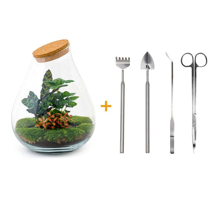 Terrarium-Bastelset – Drop XXL Rot – Flaschengarten – ↑ 43 cm