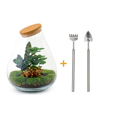 Terrarium-Bastelset – Drop XXL Rot – Flaschengarten – ↑ 43 cm