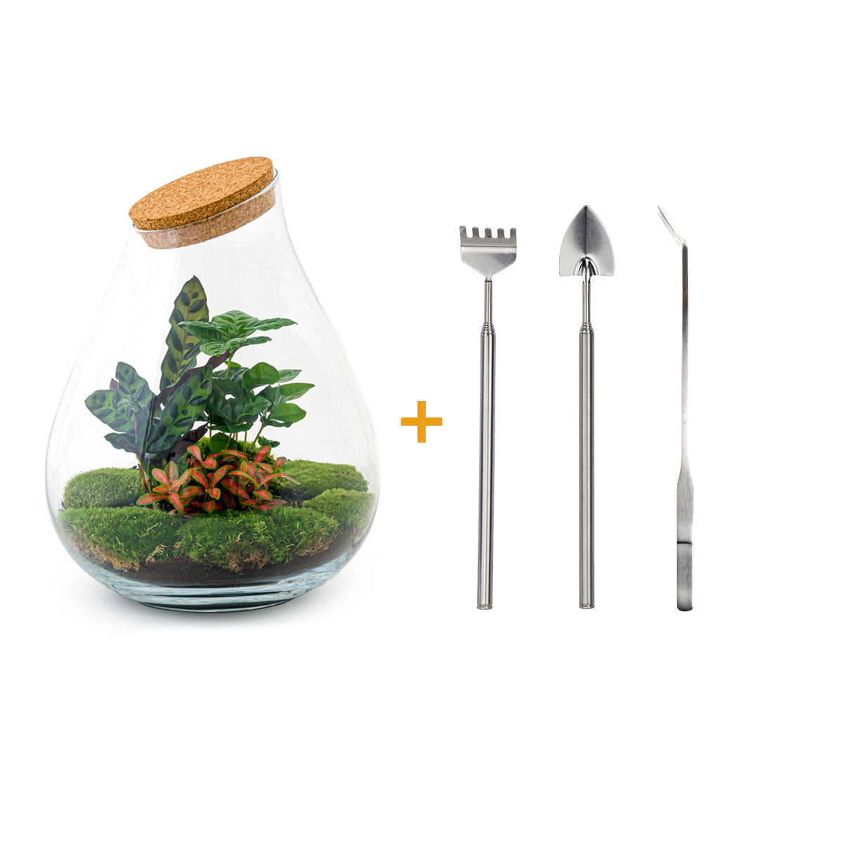 Terrarium DIY Kit - Drop XXL Red - Bottle Garden - ↑ 43 cm