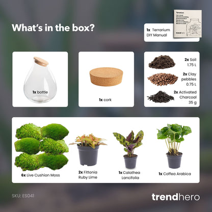 Drop XXL Rot – Terrarium mit Korken – Flaschengarten-Bastelset – Ø 34 cm ↑ 43 cm