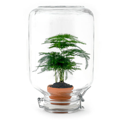 Florazo NL DIY Terrarium Kit featuring a small glass container with soil, plants, and decorative elements for creating a mini indoor garden.