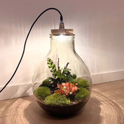 Terrarium-Bastelset – Big Paul Jungle – Flaschengarten – ↑ 40 cm