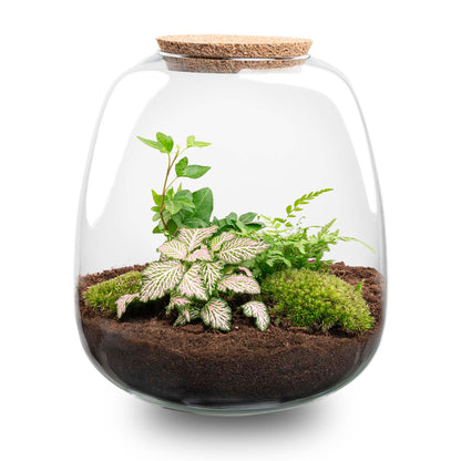 Terrarium-Bastelset – Emma – DIY-Set – ↑ 25 cm – Ø 23 cm