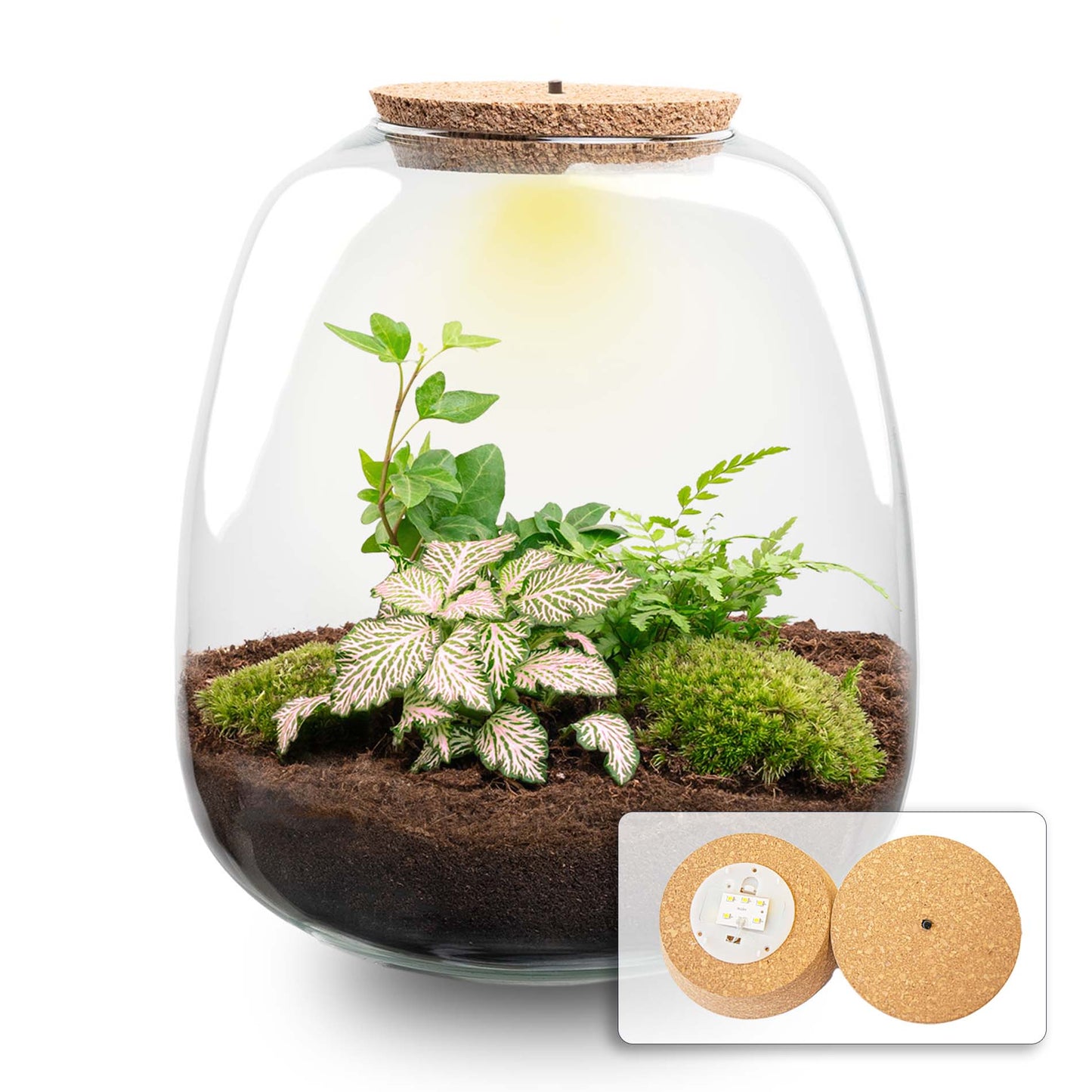 Terrarium-Bastelset – Emma – DIY-Set – ↑ 25 cm – Ø 23 cm