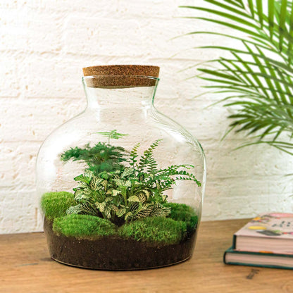 Terrarium-Bastelset – Fat Joe Green + LED-Beleuchtung – Flaschengarten – ↑ 30 cm