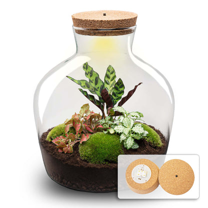 DIY terrarium kit with a glass container, lush plants, and decorative elements from Florazo NL, perfect for creating a miniature indoor garden.