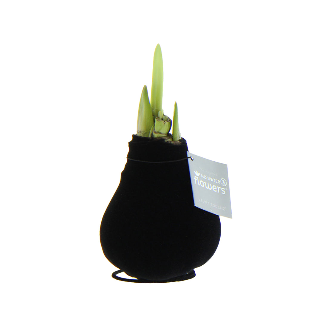MM-MEC-0136 - 0