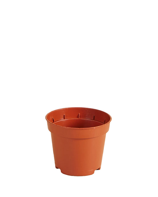 MM-MEC-0528 - 0
