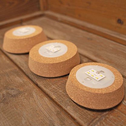 Kork mit LED-Beleuchtung – Terrariumkork mit Licht – 3 Größen erhältlich