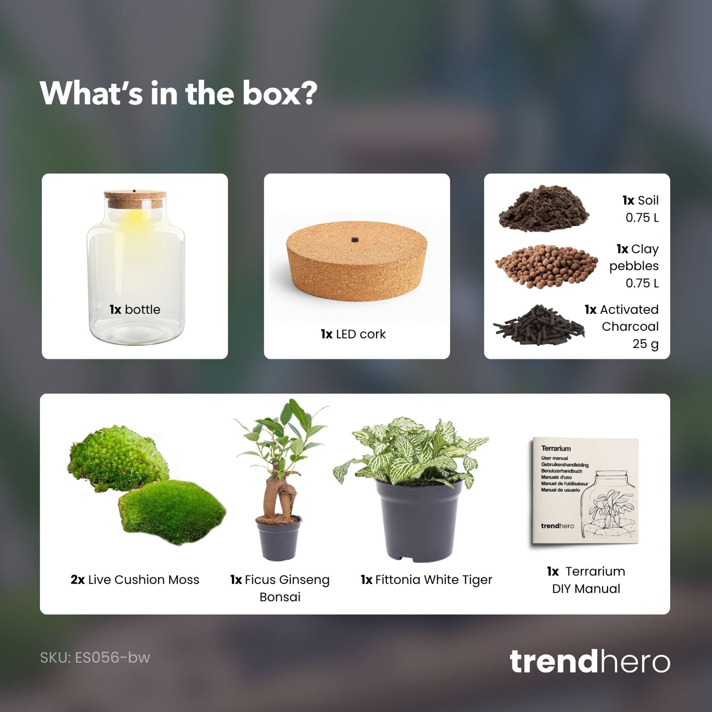 Little Milky – Terrarium mit Beleuchtung – Flaschengarten-Bastelset – Ø 17 cm ↑ 25 cm