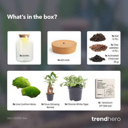 Little Milky – Terrarium mit Beleuchtung – Flaschengarten-Bastelset – Ø 17 cm ↑ 25 cm