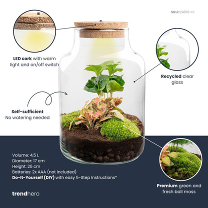 Little Milky – Terrarium mit Beleuchtung – Flaschengarten-Bastelset – Ø 17 cm ↑ 25 cm