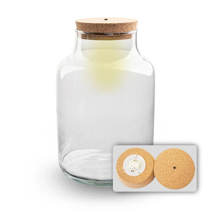 Terrariumflasche „Milky“ mit LED-Beleuchtung – Geschlossenes Terrarium Ø 21 cm ↑ 30 cm