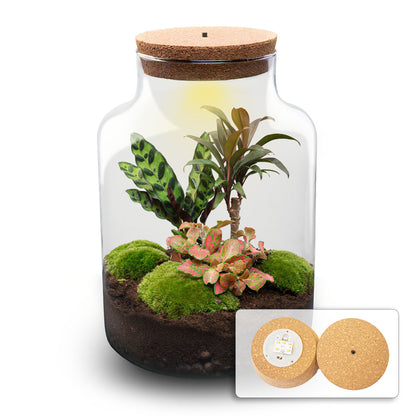 Milky Palm terrarium DIY kit by Florazo NL showing a glass bottle garden with lush green plants and decorative elements inside.