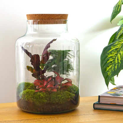 Miniature milky-colored DIY terrarium kit by Florazo NL featuring glass container, plants, and decorative elements for creating a mini ecosystem.