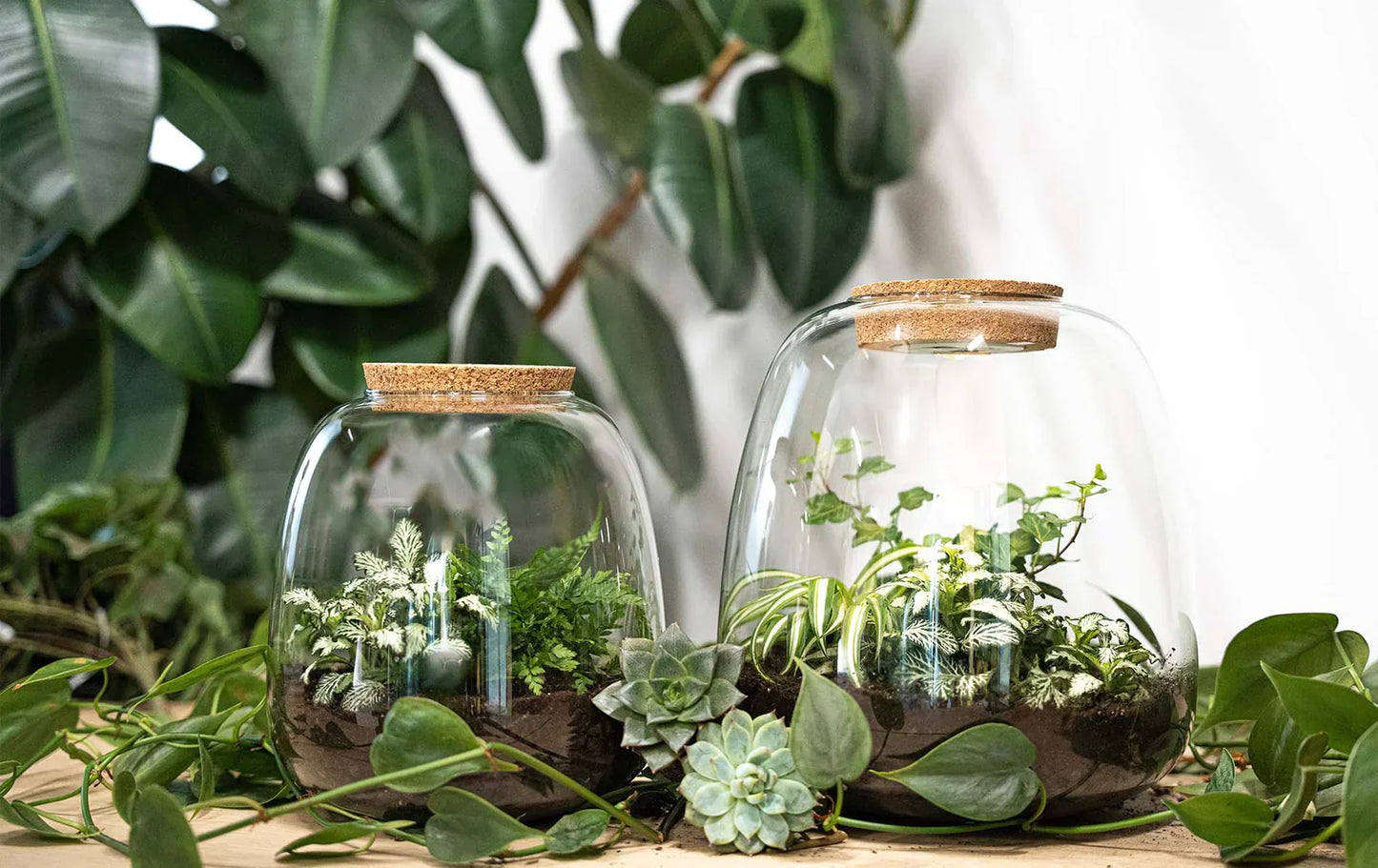 Terrarium-Bastelset – Emma – DIY-Set – ↑ 25 cm – Ø 23 cm