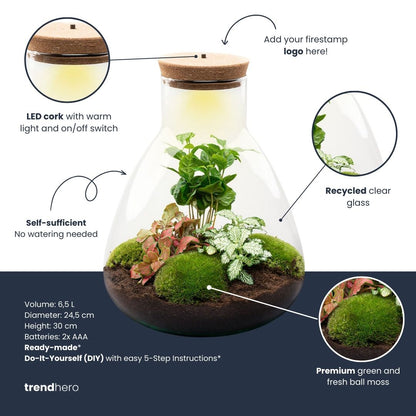 Terrarium Sam – Ø 24,5 cm ↑ 30 cm – Firmengeschenk