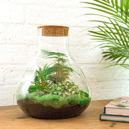 Florazo NL DIY terrarium kit with glass container, plants, and decorative elements for creating a mini indoor garden.