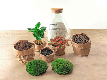 Florazo NL DIY Terrarium Kit with red packaging, includes tools and supplies for creating a custom indoor terrarium.