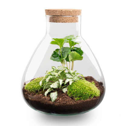 Florazo NL DIY Terrarium Kit featuring a white tiger-themed glass container with plants and decorative elements for custom terrarium creation