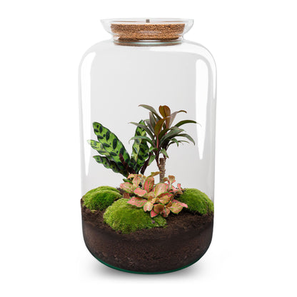 DIY Terrarium Kit by Florazo NL featuring a glass container with lush green plants and decorative elements for creating your own miniature garden.