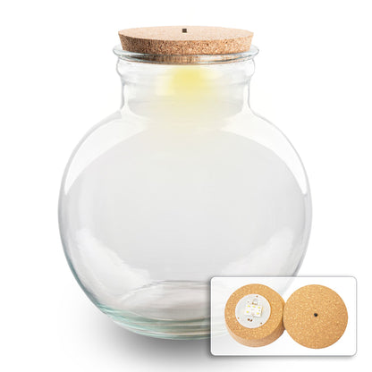Florazo NL teddy-shaped terrarium bottle with cork and built-in light, perfect for DIY indoor plant decor.