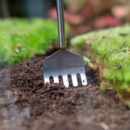 Terrarium-Werkzeug - Rechen - 16-49 cm - Teleskopierbar - Edelstahl