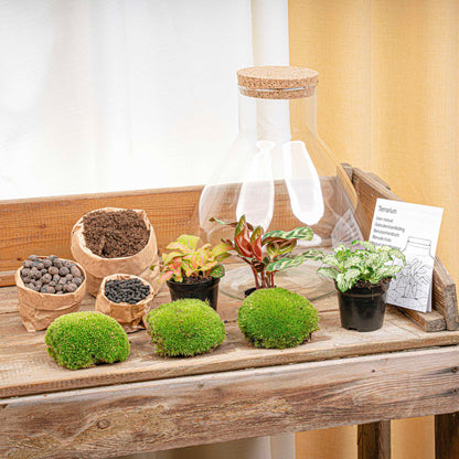 DIY terrarium kit by Florazo NL with glass container, plants, and decorative elements for creating a mini indoor garden.