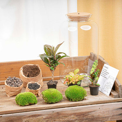 Florazo NL DIY Terrarium Kit with glass container, plants, and decorative elements for creating a miniature indoor garden.