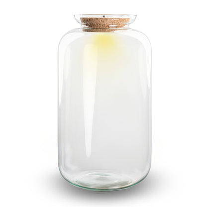 Glass terrarium bottle with LED cork from Florazo NL, showcasing a DIY terrarium with lush plants inside.