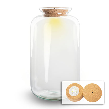 Glass terrarium bottle with LED cork lighting from Florazo NL, perfect for DIY indoor plant displays.