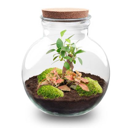 DIY terrarium kit by Florazo NL featuring a teddy bear-shaped bonsai and colorful plants in a glass container.