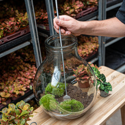 Terrarium-Werkzeug - Rechen - 16-49 cm - Teleskopierbar - Edelstahl