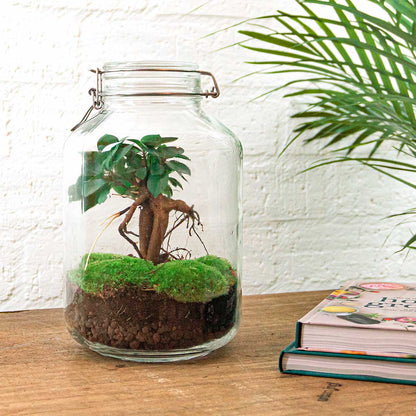 Closed urban jungle DIY terrarium kit by Florazo NL with glass container, plants, and decorative elements for indoor gardening.